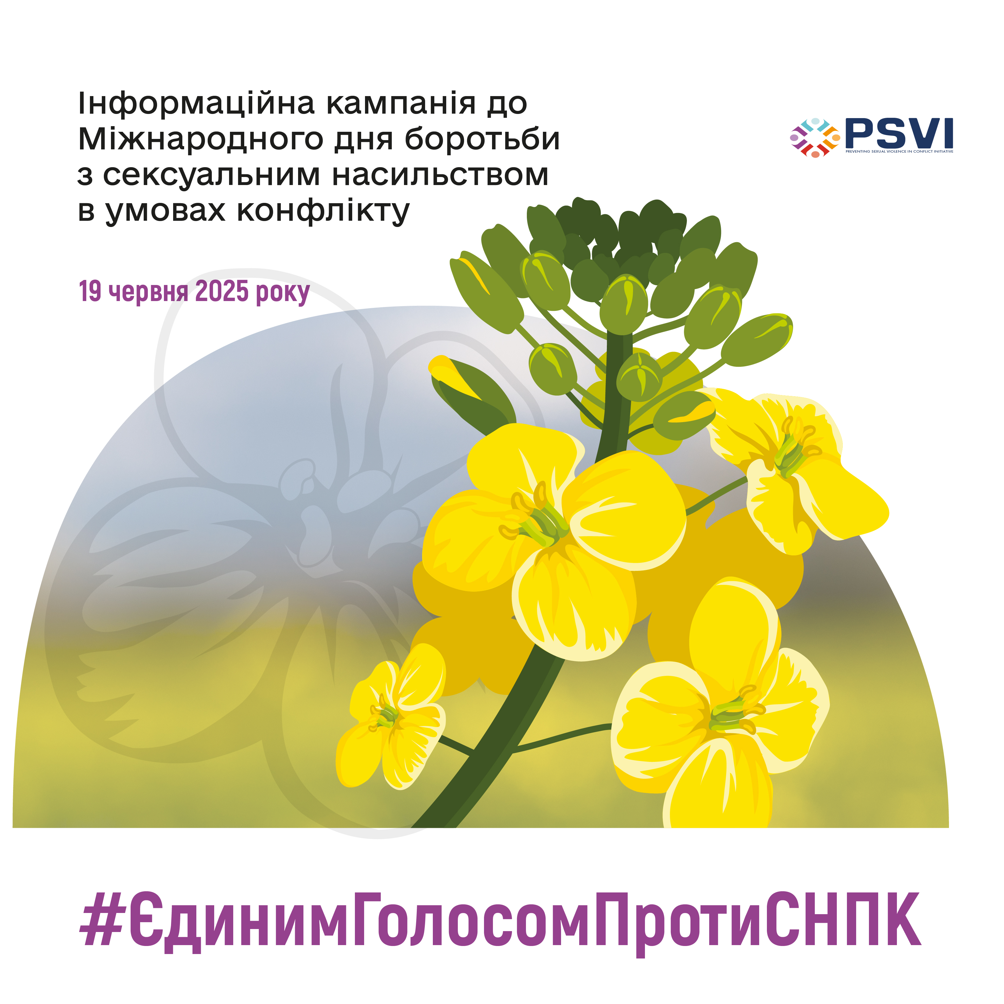 Фотографія квітка ріпаку